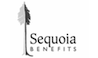 Sequoia benefits presentation by Stinson Design